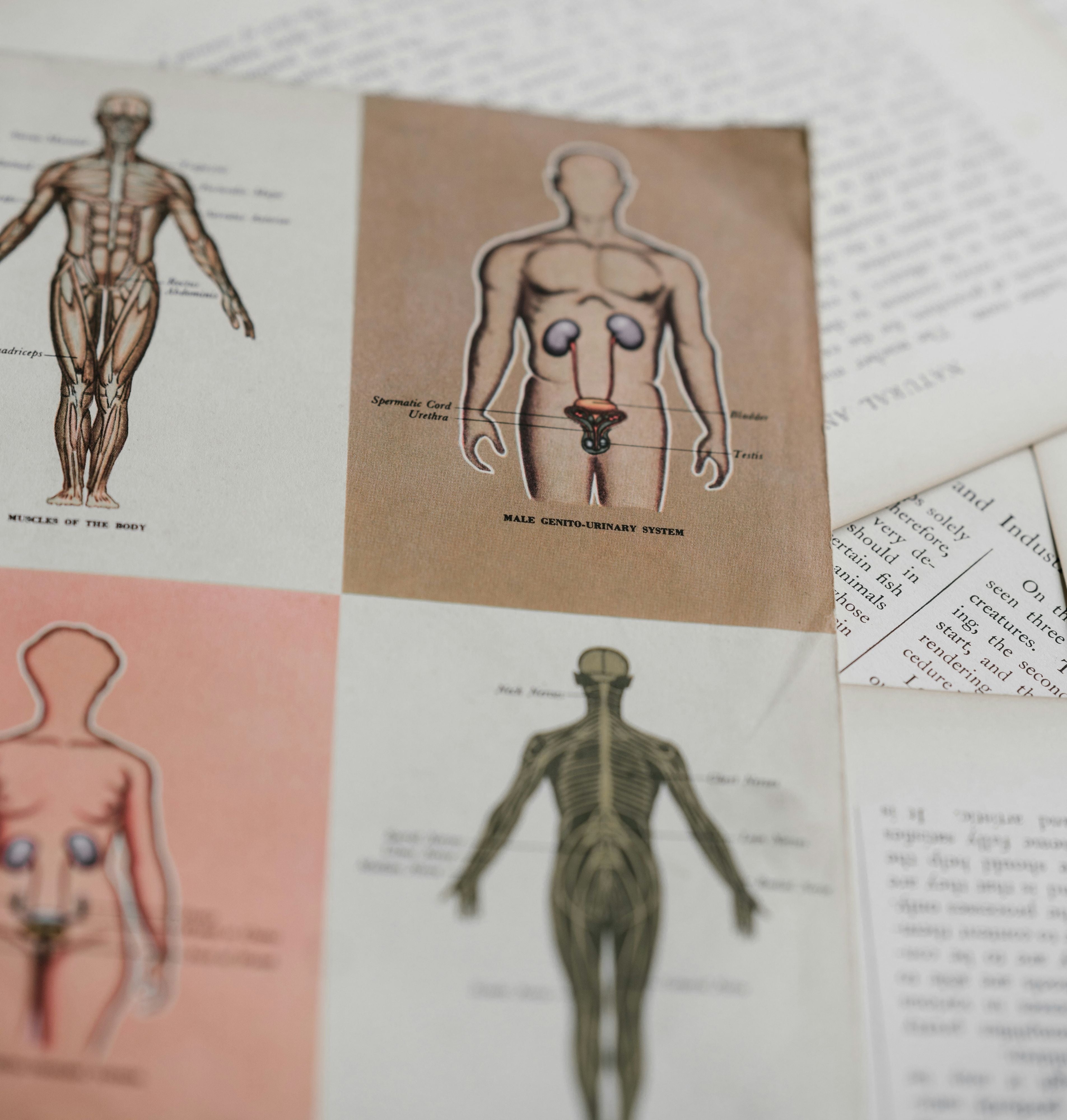 Unlock The Message of Blocked Trauma in Your Body